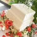 Свадебный торт  2009 